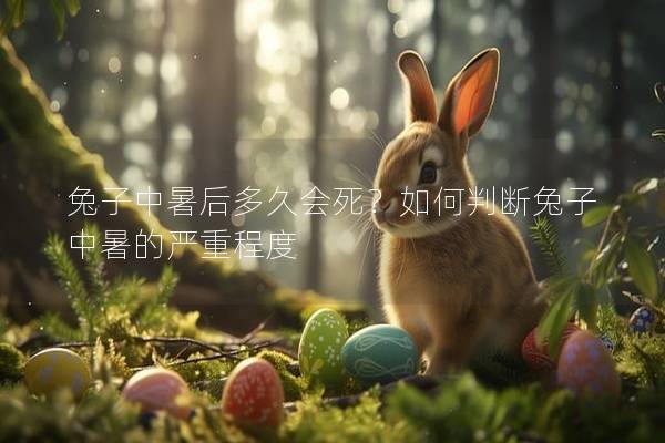 兔子中暑后多久會死？如何判斷兔子中暑的嚴重程度